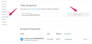Taking a Snapshot