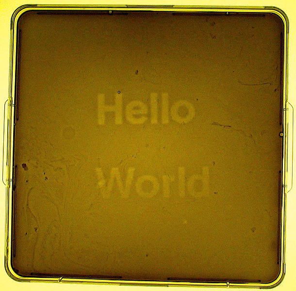 Hello world and Happy Programmer’s Day!