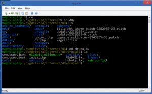 Console2 running cygwin on Windows