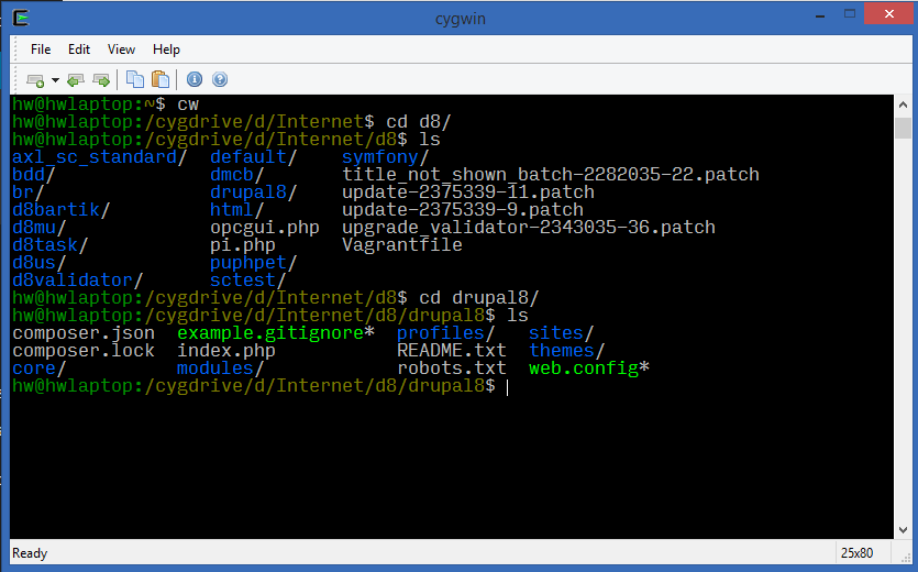 Setting up a Drupal Development Machine on Windows with Ubuntu Server in Virtual Machine
