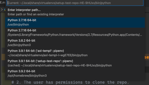 Setting up Python venv in Visual Studio Code
